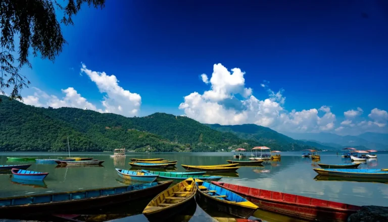 rara