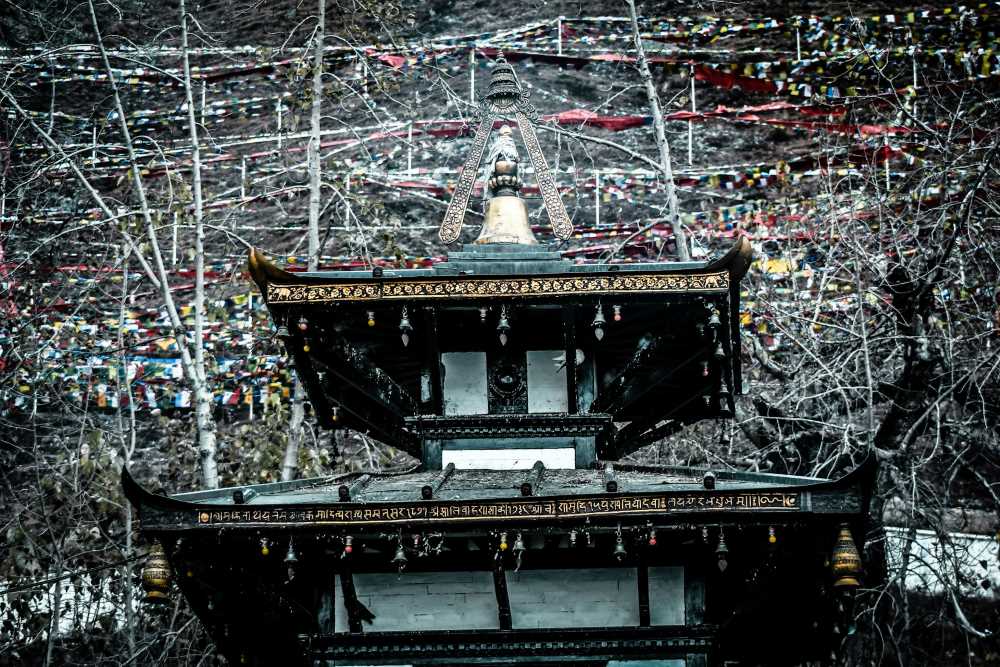 muktinath to pokhara tour