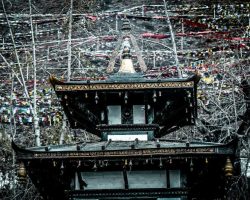 muktinath to pokhara tour