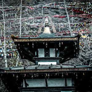 muktinath to pokhara tour